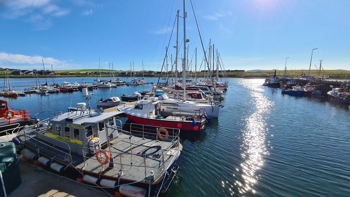 Neutral Wireless tweet media