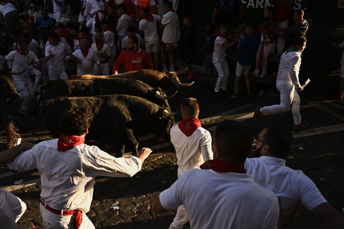 La Palmosilla ha protagonizado un veloz y ajetreado encierro en el séptimo de #SanFermín2025 

2025-07-13
© Pablo Lasaosa