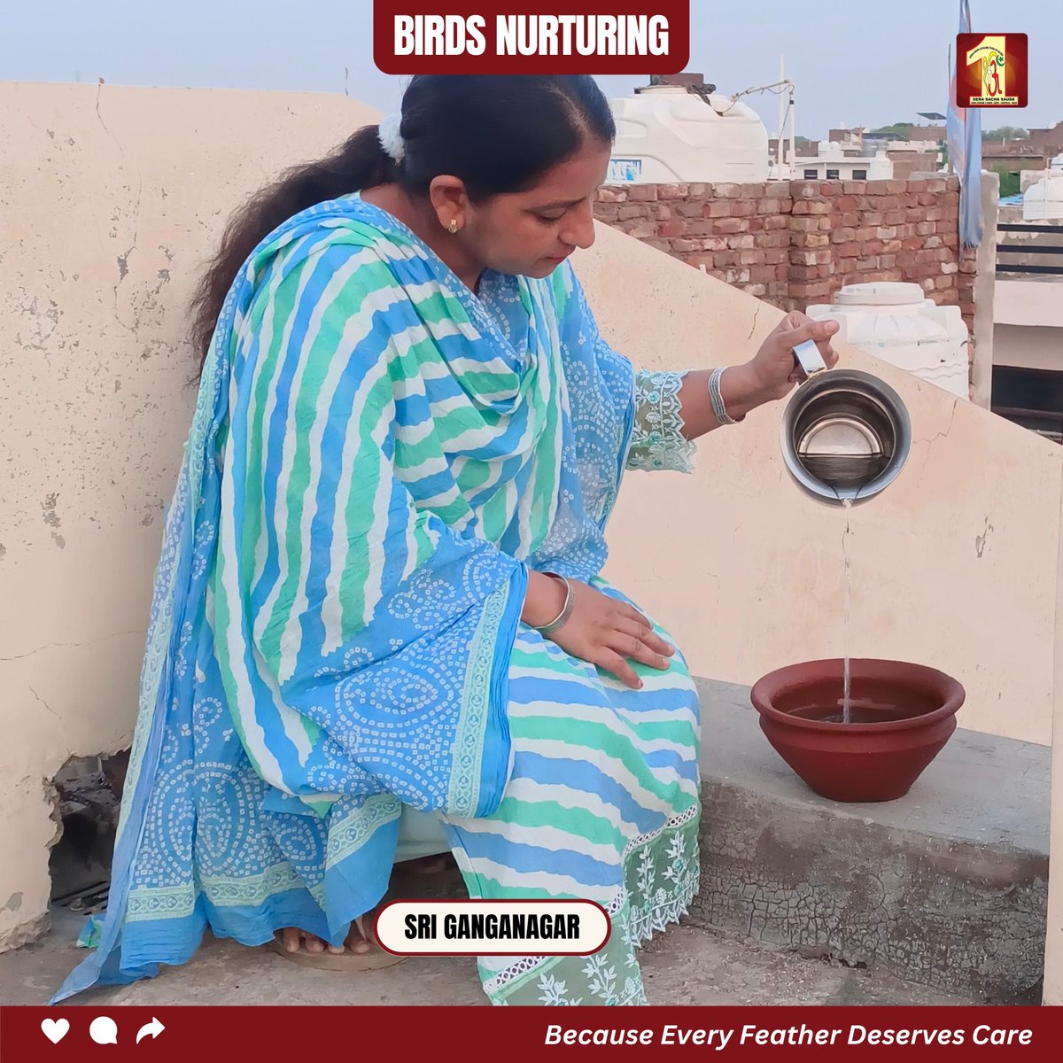 DSSNewsUpdates's tweet photo. With bowls of water and grains of love, Dera Sacha Sauda volunteers stepped forward to care for birds suffering in the summer heat. Inspired by Saint Dr. MSG Insan's divine teachings, their quiet efforts became a lifeline — reminding us that true service embraces every living being.

#DeraSachaSauda #SaintDrMSGInsan #BirdCare #CompassionInAction #SelflessService #FeedTheVoiceless #KindnessMatters