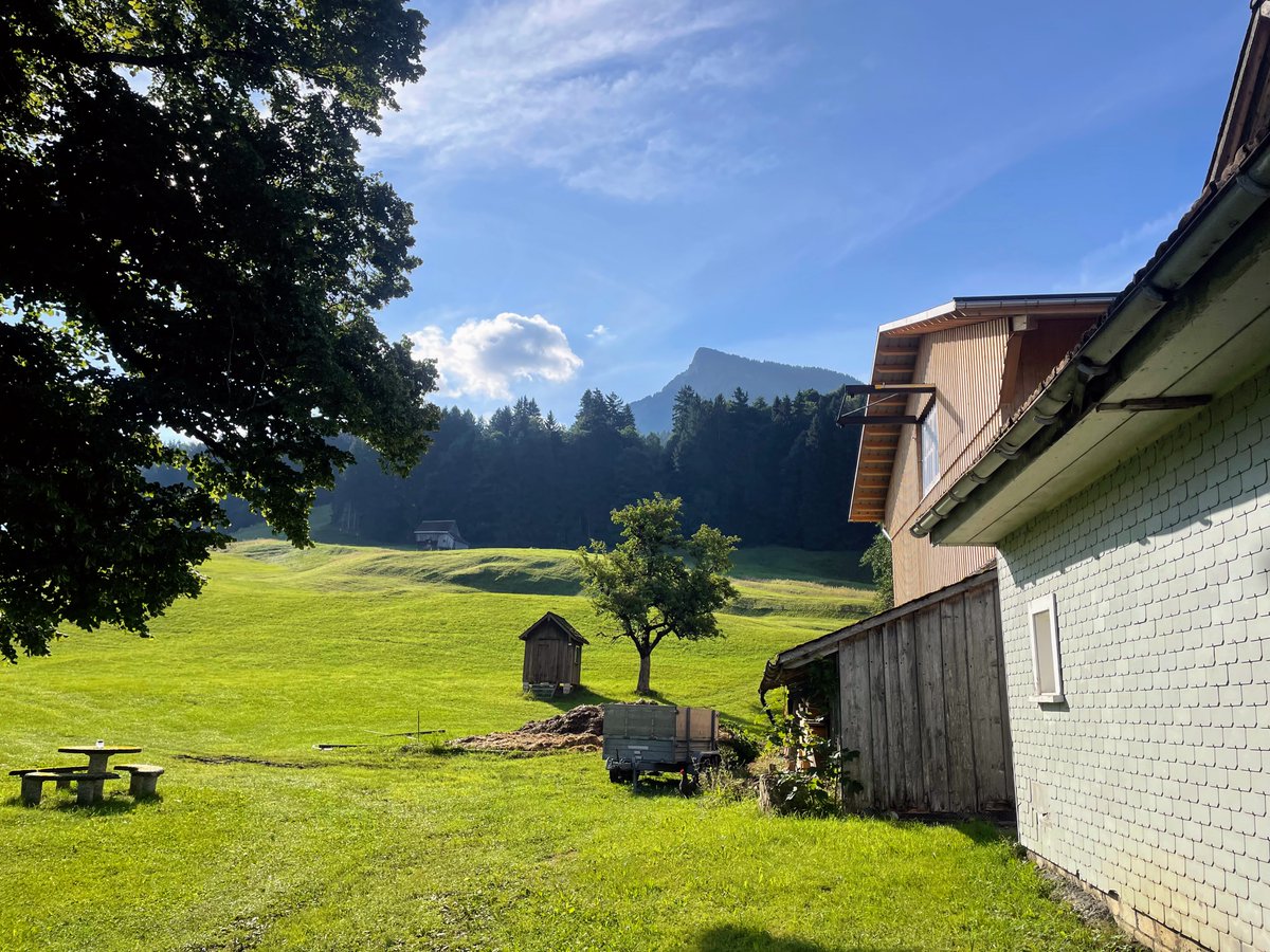 Jan Sůra tweet media