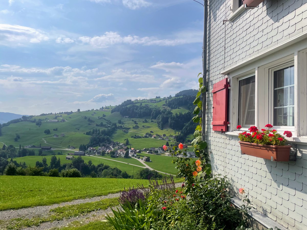 Jan Sůra tweet media