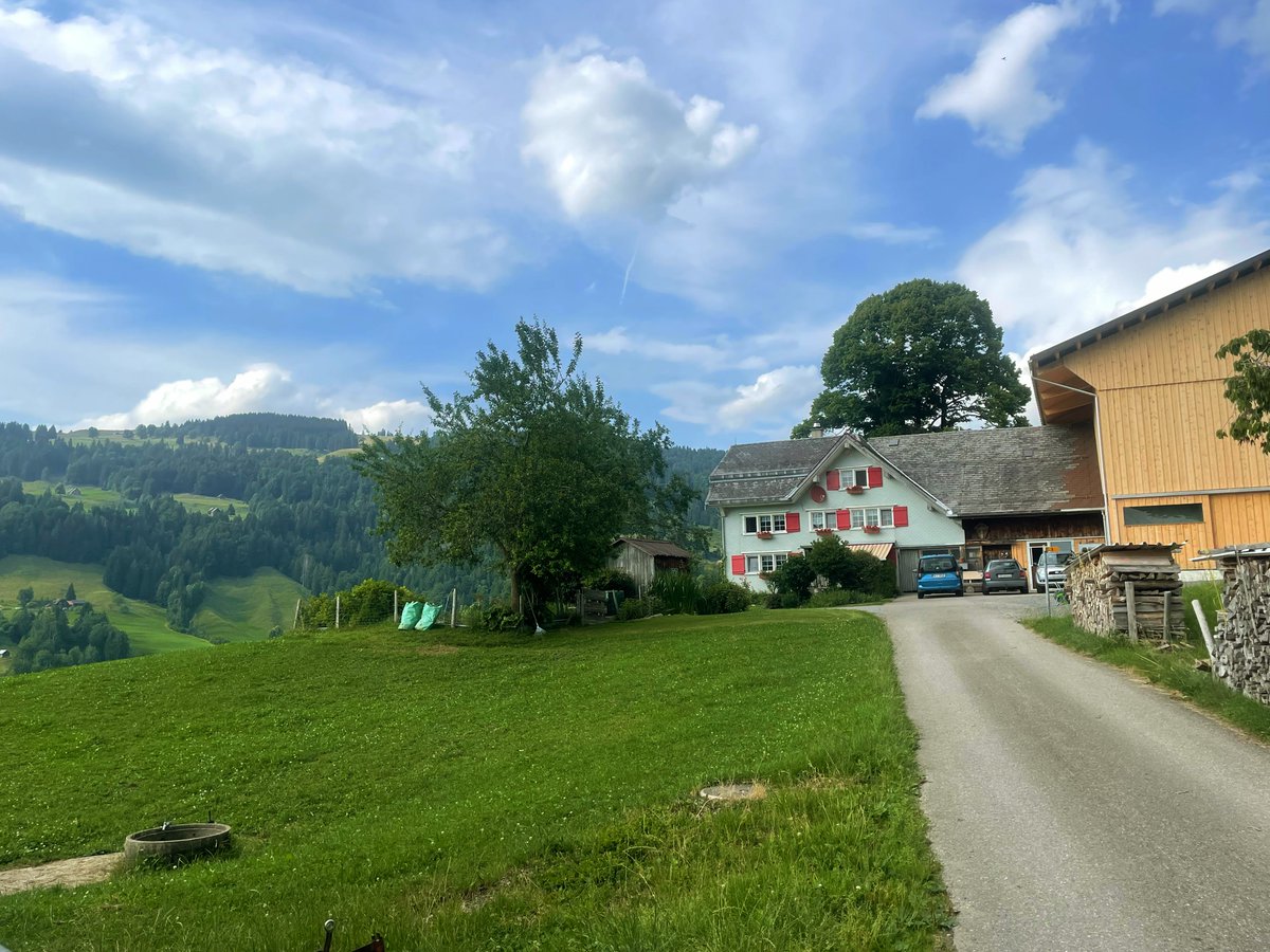 Jan Sůra tweet media