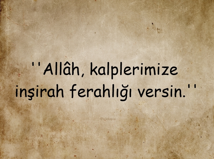 çilekapısı (@cilekapisi) on Twitter photo 