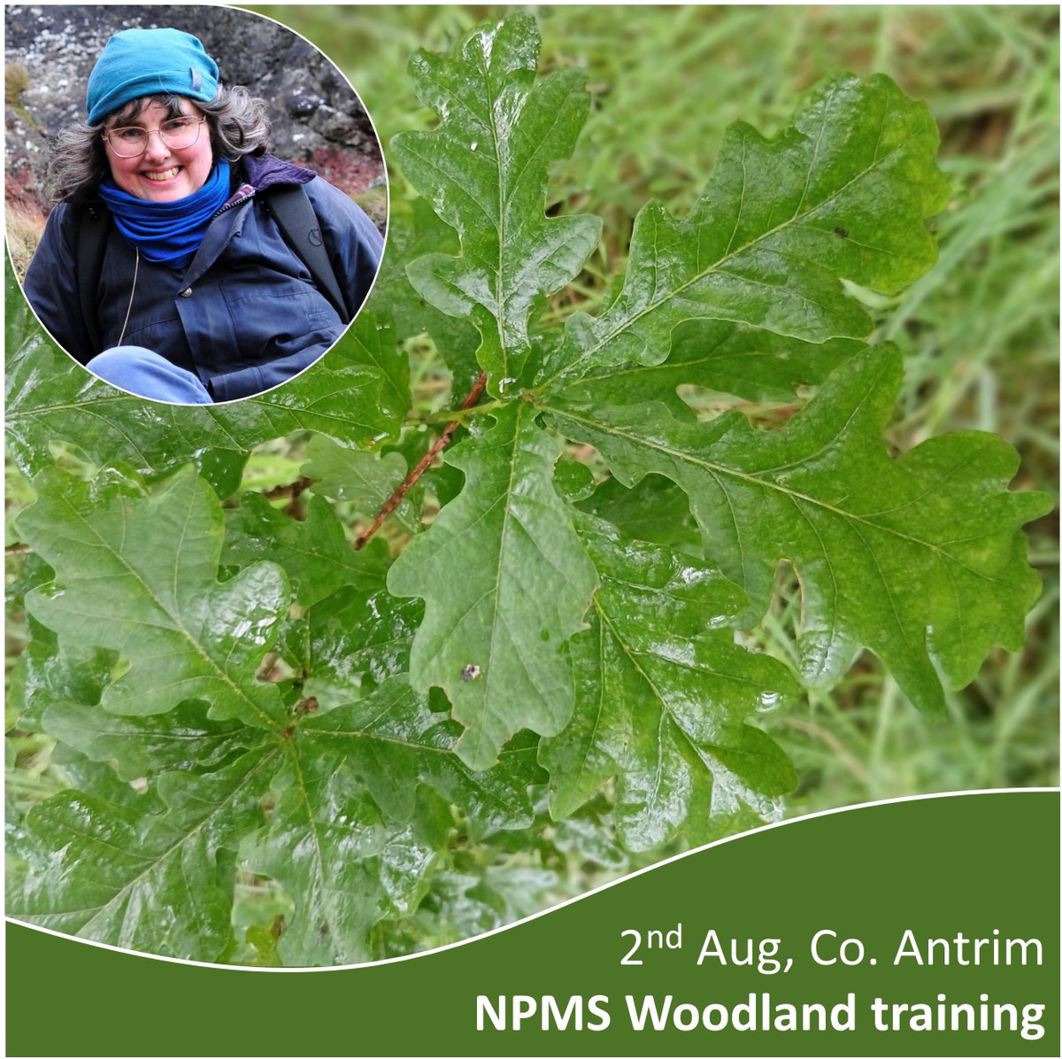 National Plant Monitoring Scheme (@thenpms) on Twitter photo Woodland Habitat Training 2nd Aug, Co. Antrim. Jo Mulholland, BSBI Training Officer, will lead a walk introducing the woodland habitats within Glenarm Nature Reserve. Jo will explain how to set up plots in woodland habitats. See events page for details ow.ly/y0nl50Wn1Mr Woodland Habitat Training 2nd Aug, Co. Antrim. Jo Mulholland, BSBI Training Officer, will lead a walk introducing the woodland habitats within Glenarm Nature Reserve. Jo will explain how to set up plots in woodland habitats. See events page for details ow.ly/y0nl50Wn1Mr