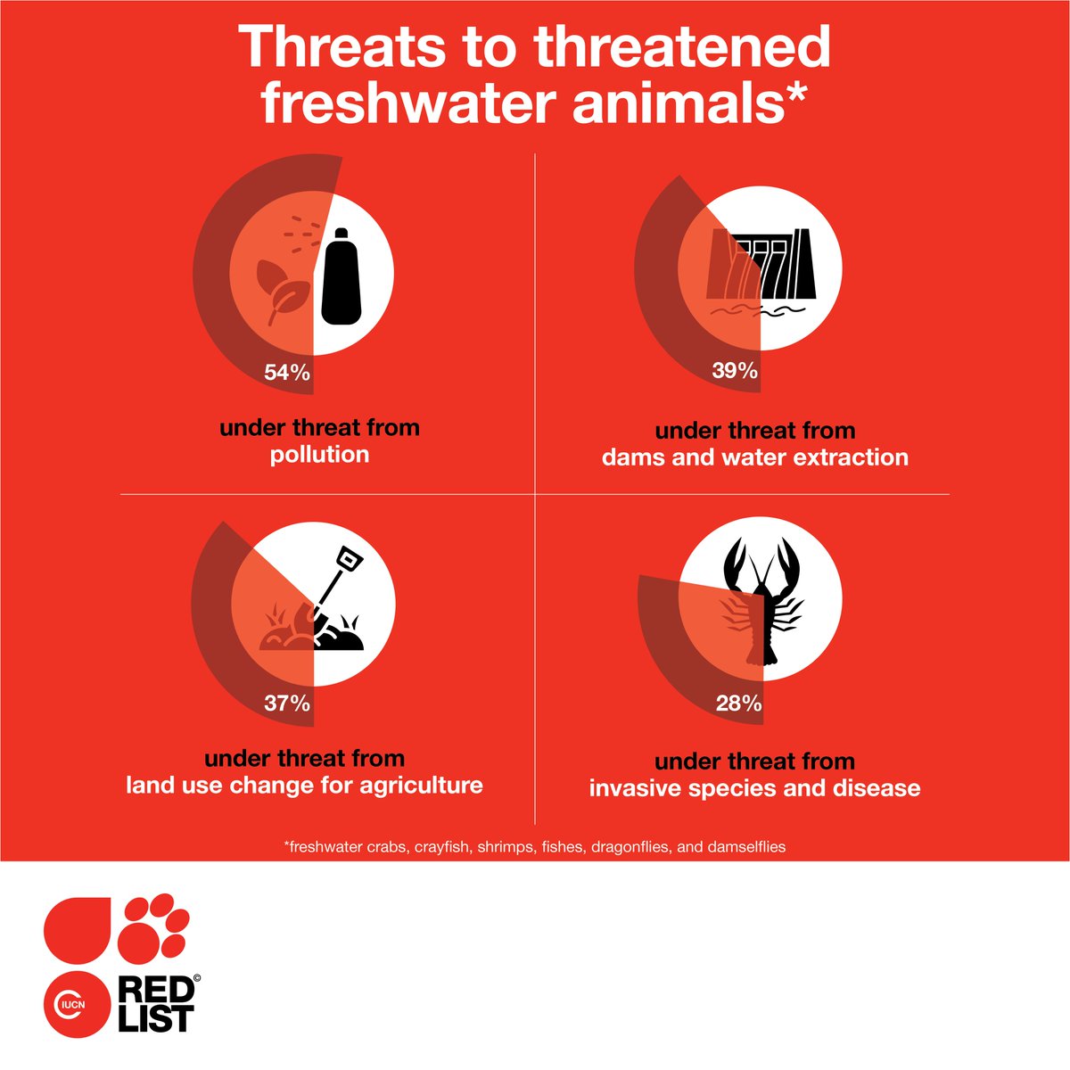 IUCN (@iucn) on Twitter photo Pollution, mainly from agriculture & forestry, impacts over 1/2 of all threatened freshwater animals. Dam construction & invasive alien species are among the other threats.
bit.ly/4adwI9N <a href="/IUCNRedList/">IUCN Red List</a> Pollution, mainly from agriculture & forestry, impacts over 1/2 of all threatened freshwater animals. Dam construction & invasive alien species are among the other threats.
bit.ly/4adwI9N <a href="/IUCNRedList/">IUCN Red List</a>