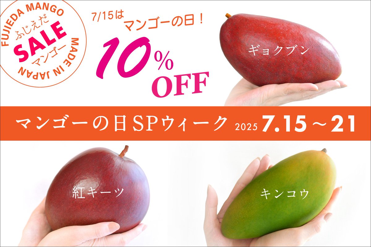 摘果マンゴー2/15① 摘果マンゴー 15〜30g 13kg 摘果グリーンマンゴー