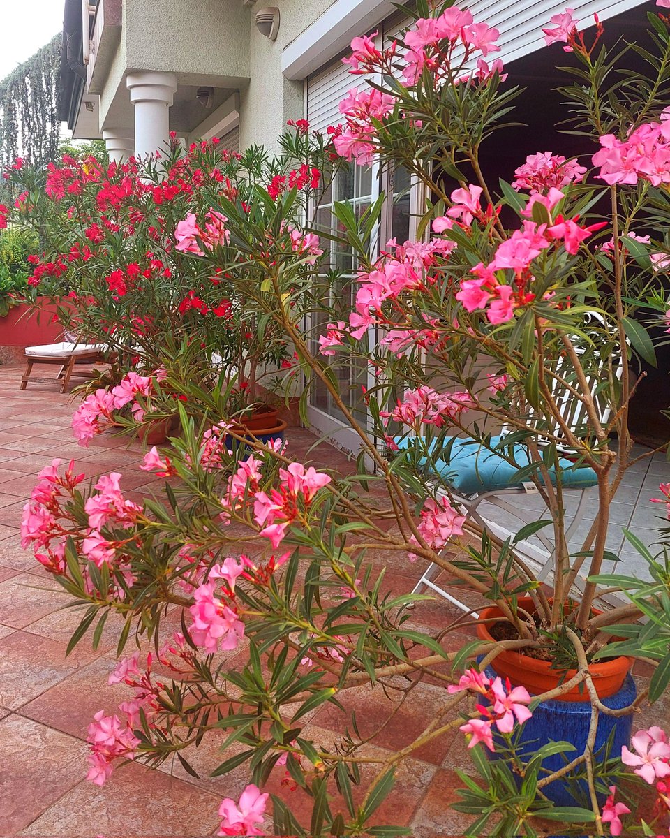 <a href="/parthosarathi_b/">Partho</a>