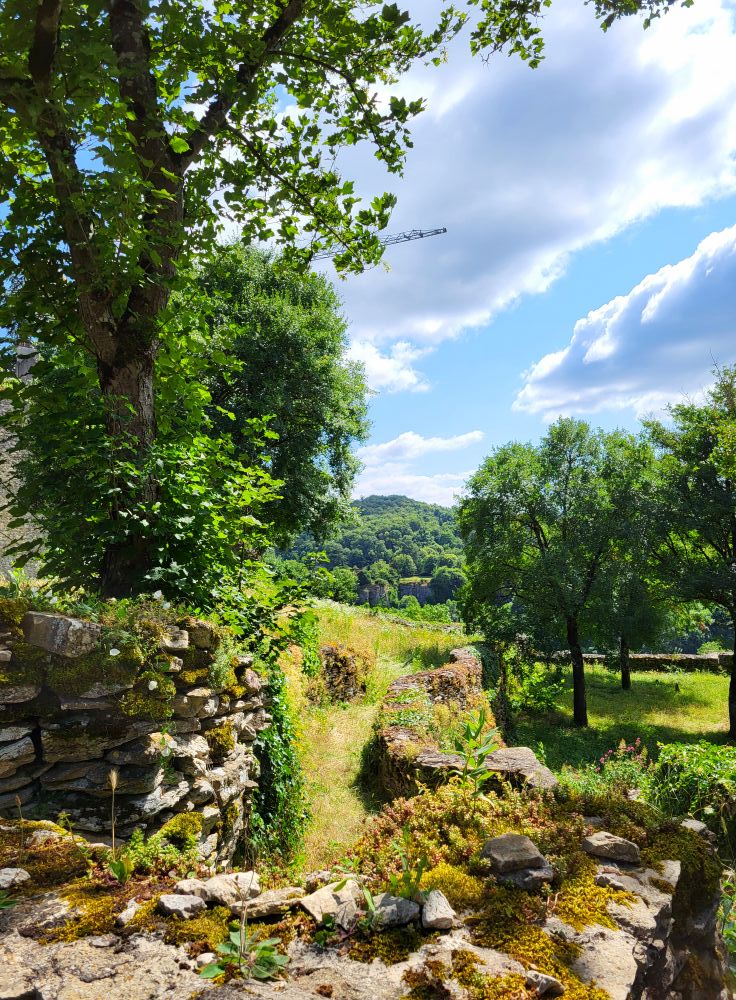 🇫🇷 Cet été, Femmes Démocrates lance #MonCoinDeFrance : partagez vos plus belles photos de nature, paysages, villages en #France avec le hashtag !
Valorisons nos territoires &amp; rappelons l’importance de les préserver 💧🌿
À vos clichés, bel été ☀️