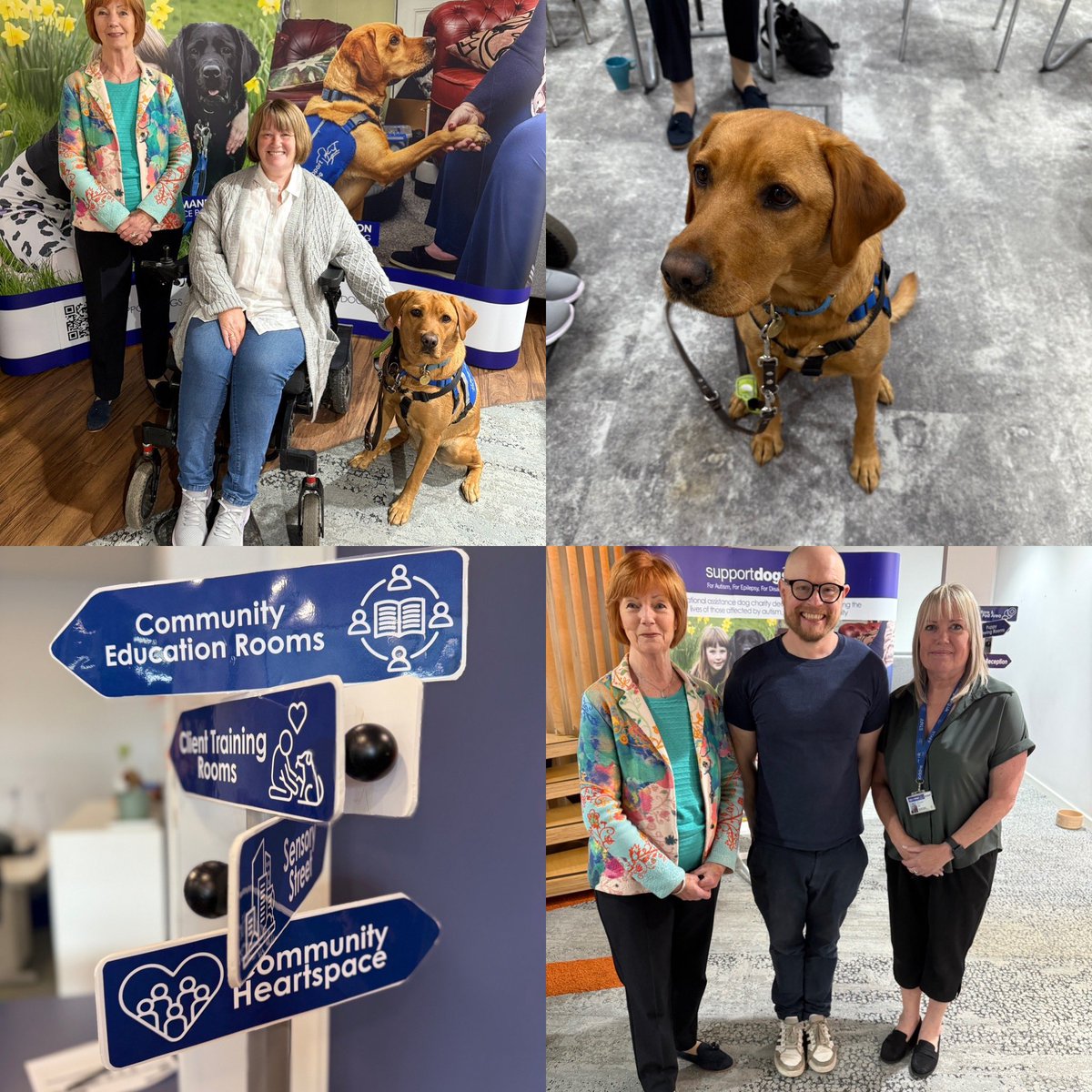 Heather Suttie tweet media