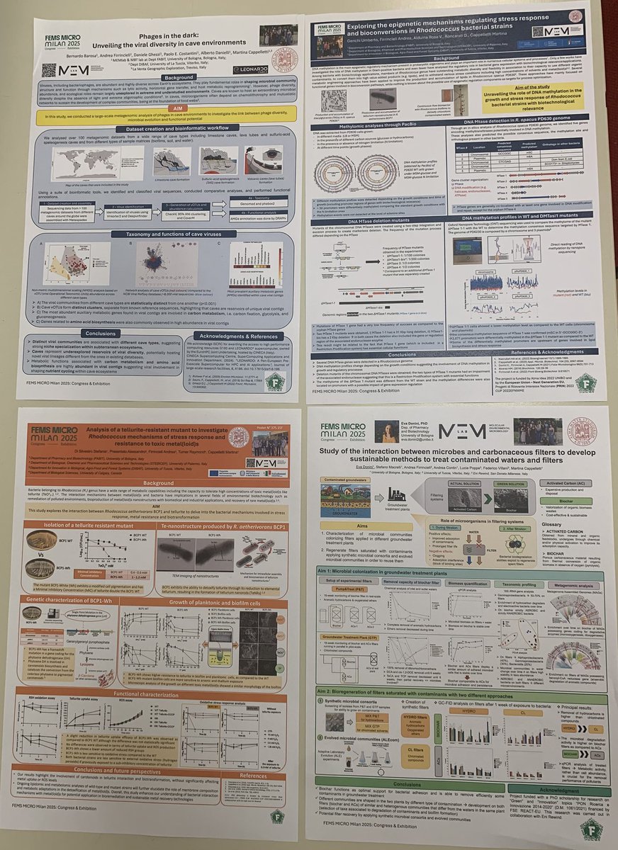 Martina Cappelletti tweet media