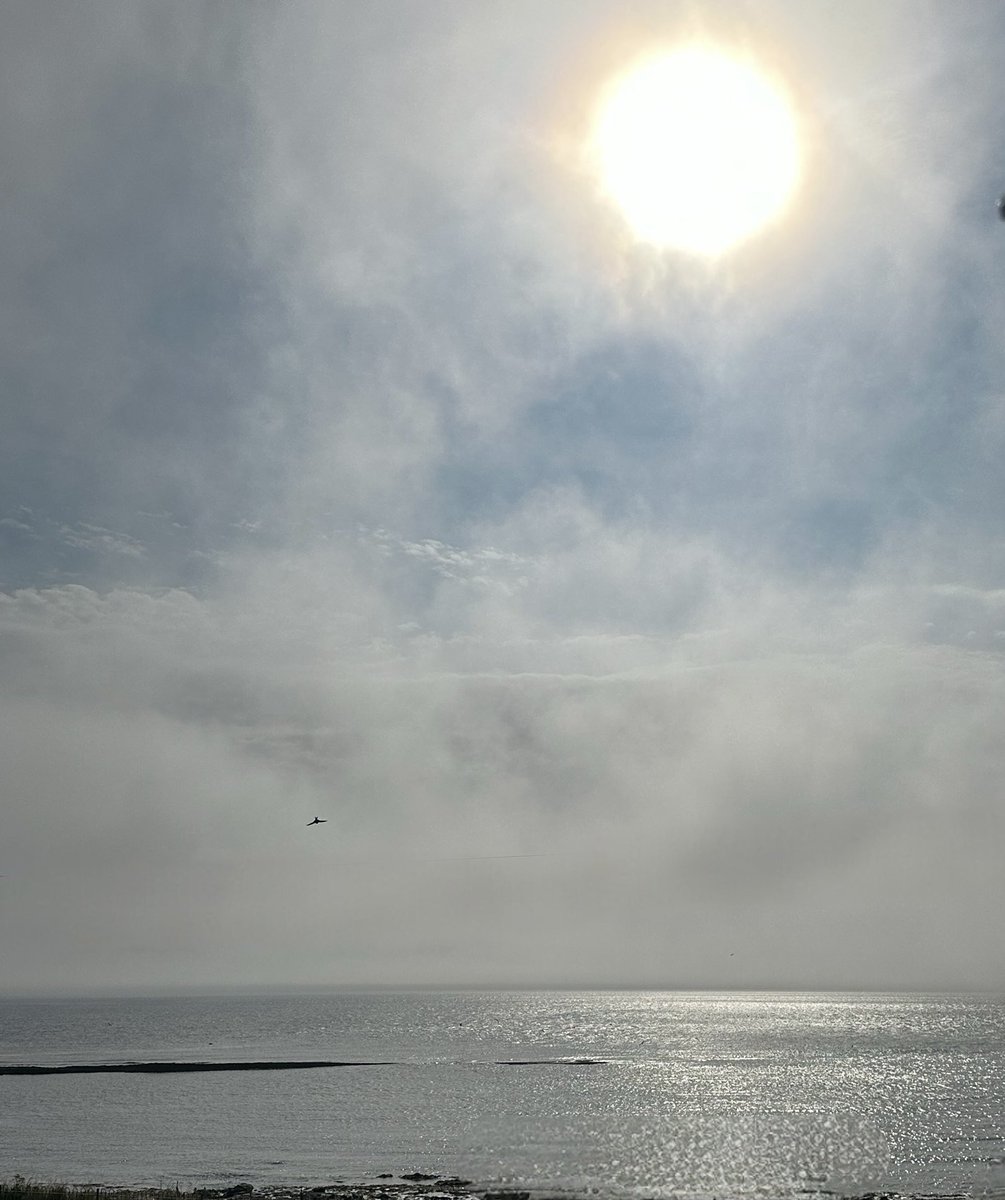 13th July 2025   08.58