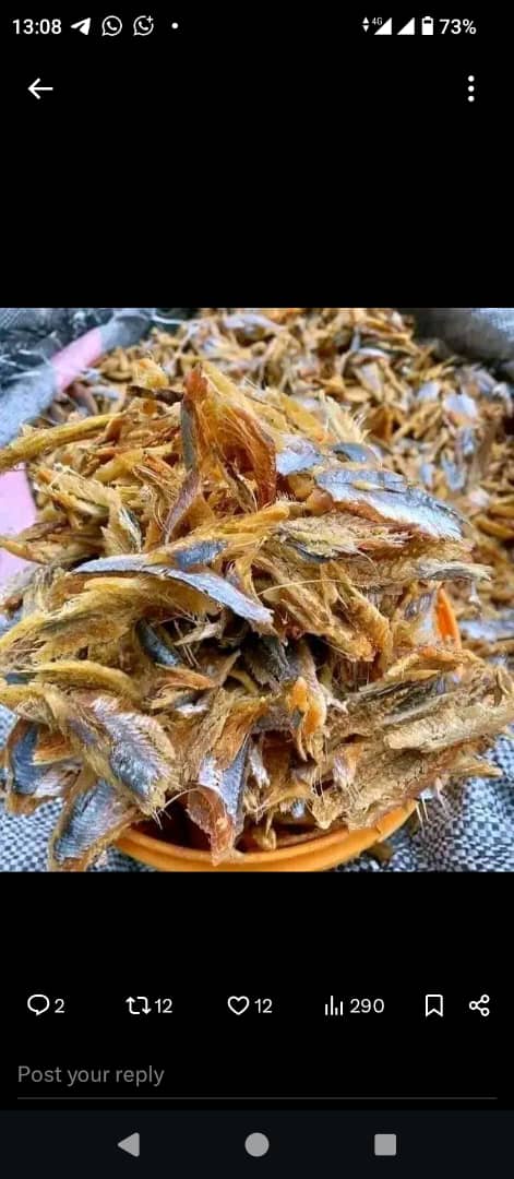 OhasoE's tweet photo. @Anonofdanonofd1 Good morning sir.
My name is Ohaso Ifeyinwa 
I am a legit seafood Vendor based in Portharcourt.We source, process,and package various seafoods . Seafoods like
Fish, stockfish,snails, crayfish,shrimps,prawns,Etc.

This support will really help my business🙏🏽
. 
Thank you sir🙏🏽🙏🏽🙏🏽 https://t.co/LxCLCfHVj5