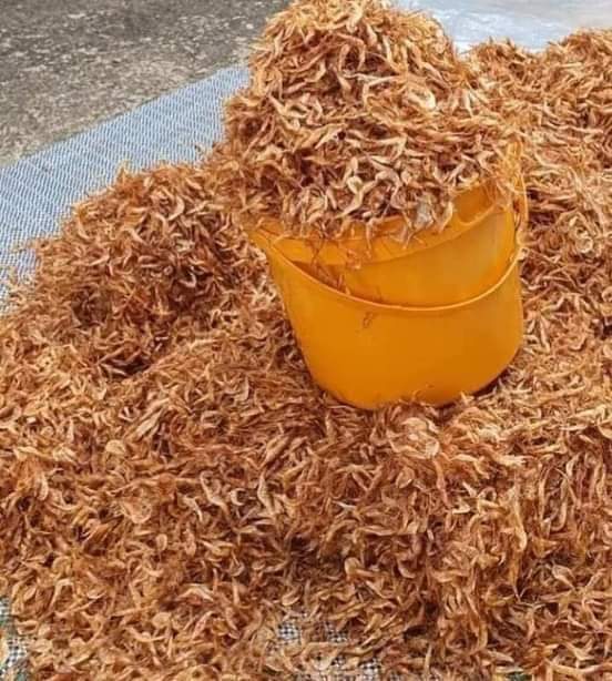 OhasoE's tweet photo. @Anonofdanonofd1 Good morning sir.
My name is Ohaso Ifeyinwa 
I am a legit seafood Vendor based in Portharcourt.We source, process,and package various seafoods . Seafoods like
Fish, stockfish,snails, crayfish,shrimps,prawns,Etc.

This support will really help my business🙏🏽
. 
Thank you sir🙏🏽🙏🏽🙏🏽 https://t.co/LxCLCfHVj5