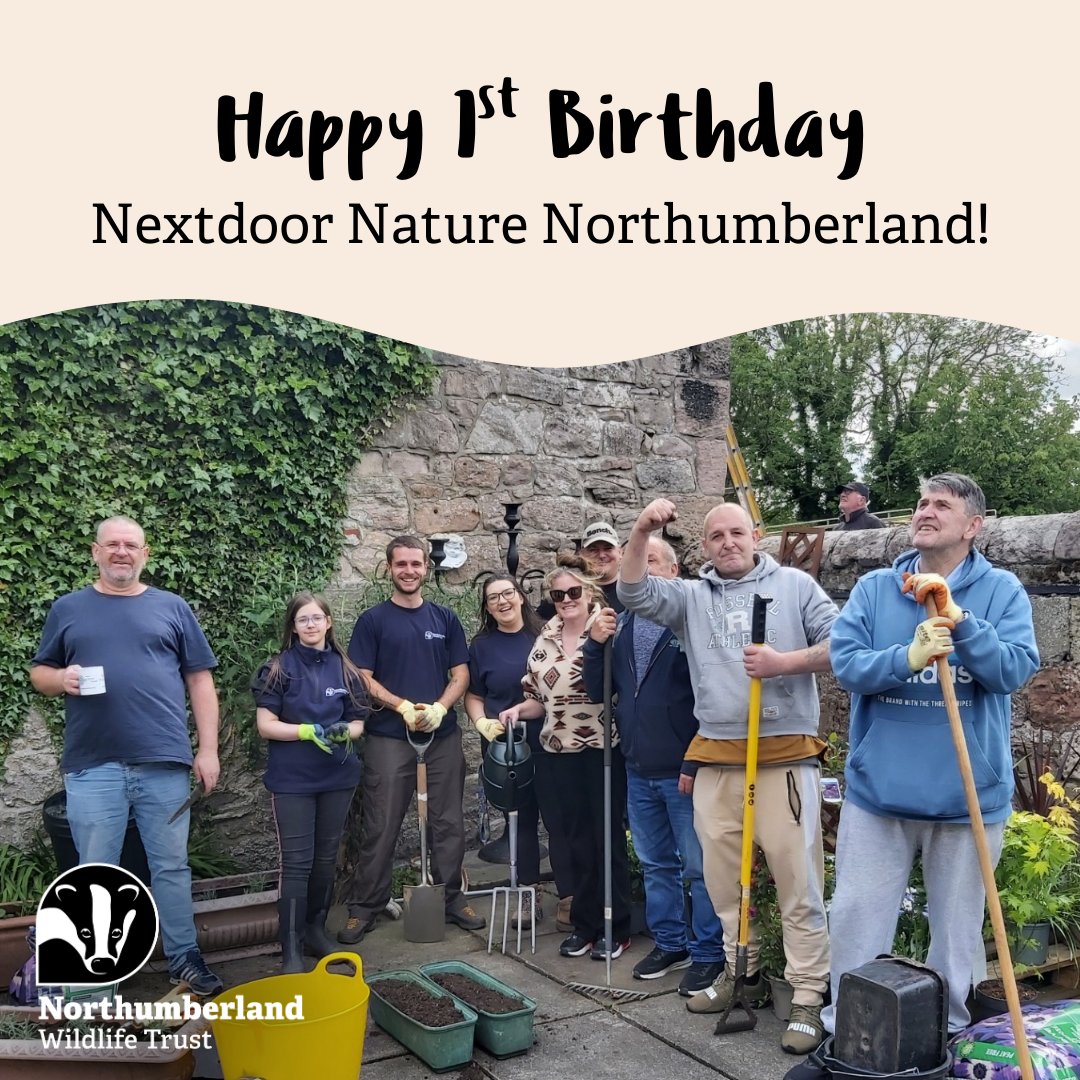 Northumberland Wildlife Trust’s Nextdoor Nature Northumberland Project has celebrated its first birthday by clocking up interactions with more than 1,000 individuals through events, workshops, and community projects.

nwt.org.uk/news/northumbe…