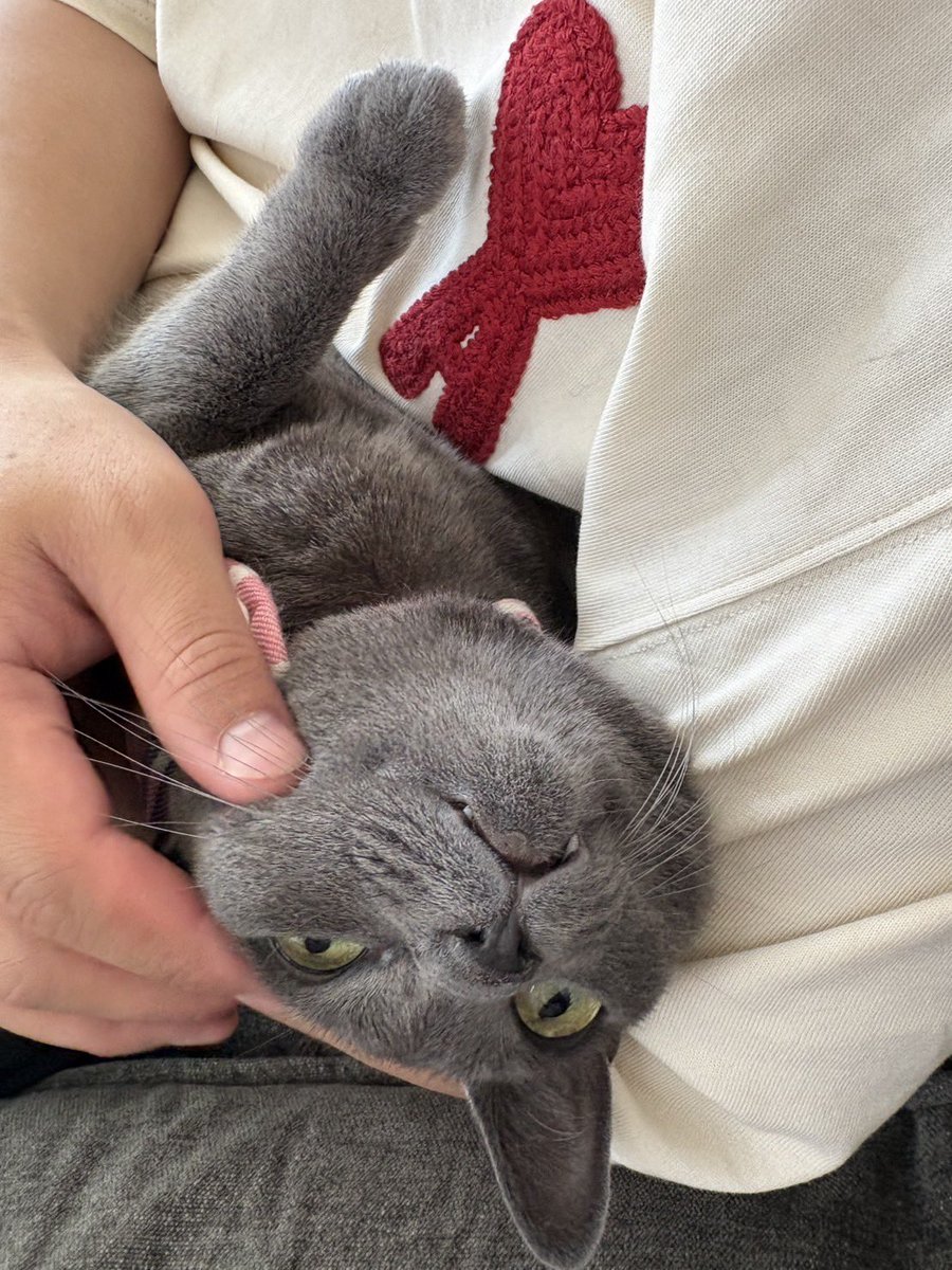 キバ