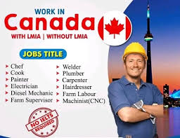 Canadian Immigration Experts. tweet media