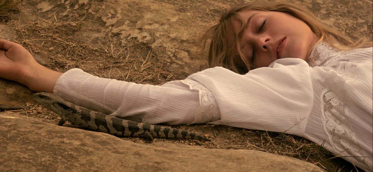 Kino Światowid tweet media