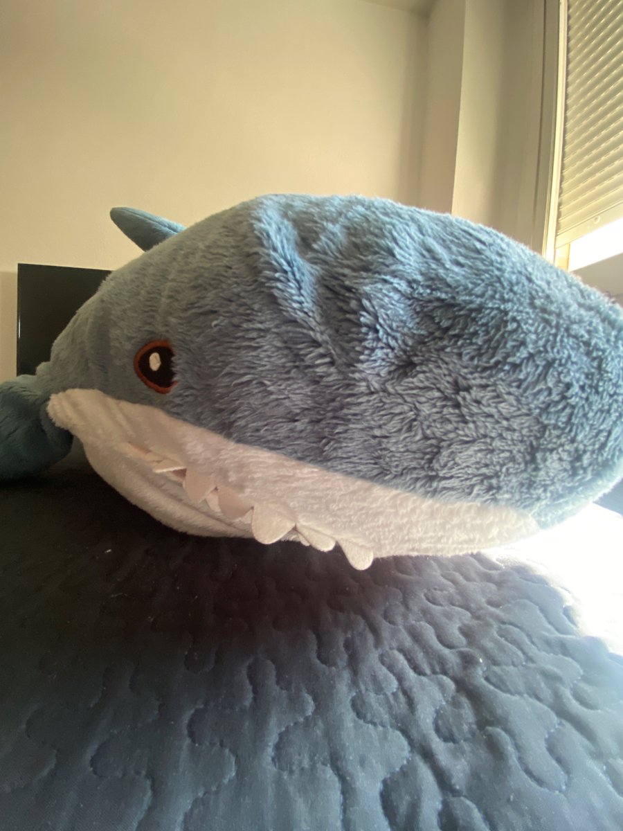 Grexyan_'s tweet image. shork