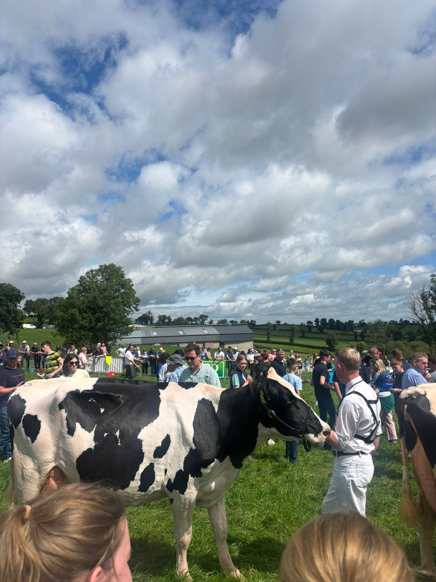 Delighted to win the 2025 Macra National Senior Dairy Stockjudging competition.  <a href="/ornua/">Ornua</a> <a href="/MacranaFeirme/">Macra na Feirme</a> <a href="/i_h_f_a/">IHFA</a> <a href="/MeathMacra/">Meath Macra</a>
