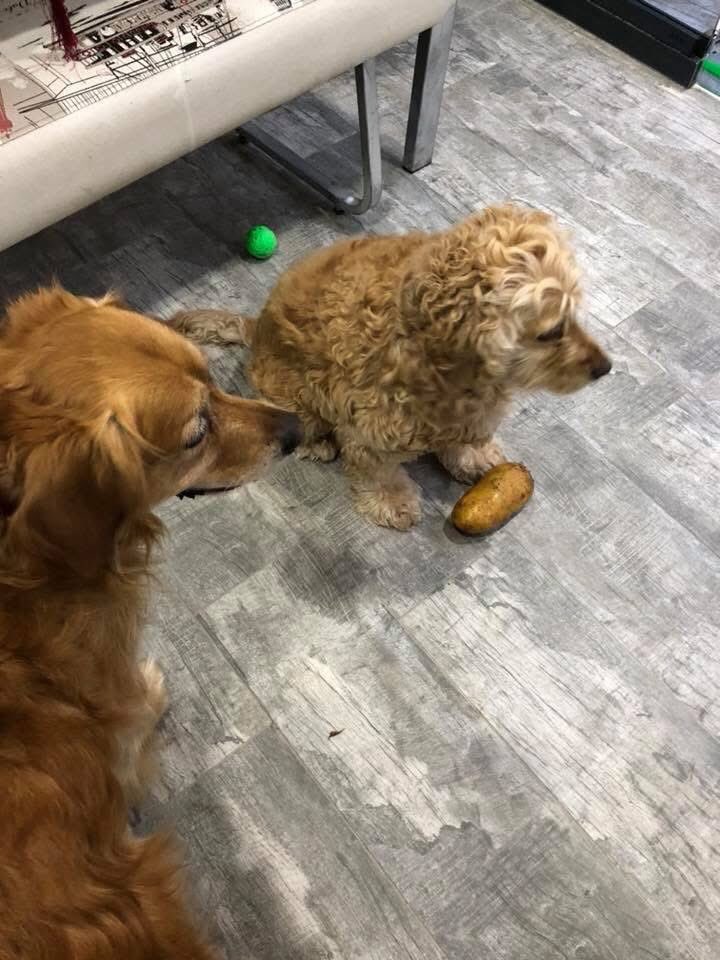 Kimleeeer kimlerle beraber😂 bensis battis partisi vevmislev.