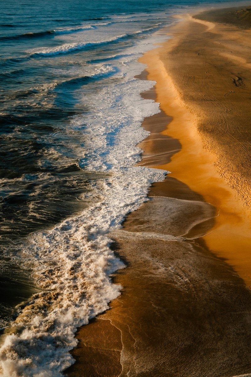 🌊