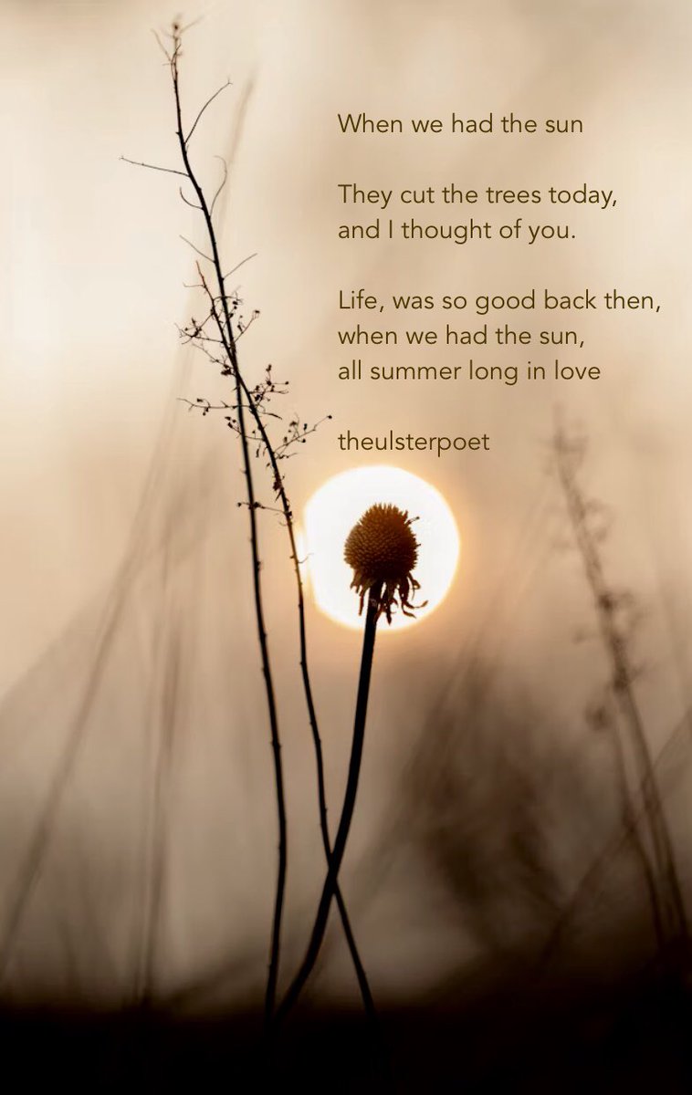 Thinking of you… when we had the sun 

#poetry #lovepoem #summertime #sunshine #heatwave