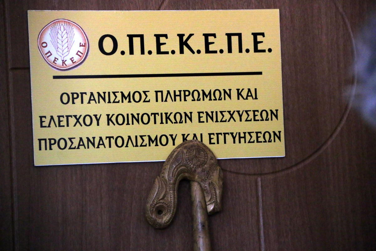 MeaCulpagr's tweet image. ΟΠΕΚΕΠΕ: Χωρίς αποζημίωση 18 οικογένειες στην Χίο – Καμένα βοσκοτόπια δηλώθηκαν σε Κρήτη και Λήμνο meaculpa.gr/opekepe-choris…
