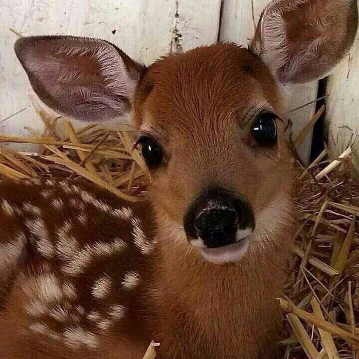 they're the same picture