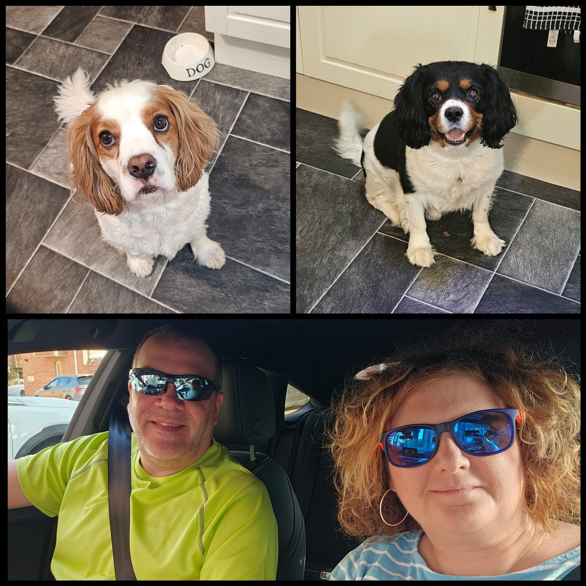 runawaygirl248's tweet image. Up and set off early doors this morning to go treat the dogs to a waterfall swim......π
#sundayvibes #cavpack