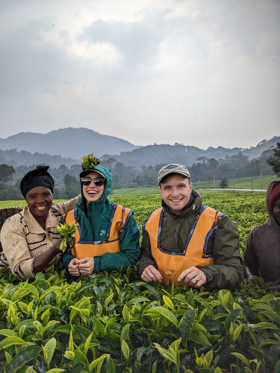 Sipping stories from the land of a thousand hills

#visitrwanda
#nyungwenationalpark
#chimpanzeetrekking
#culturaltour