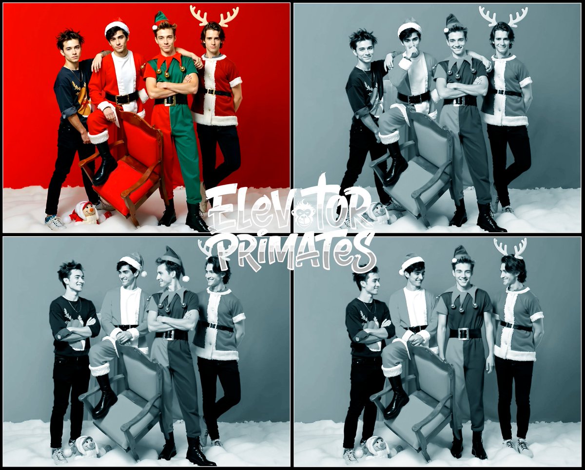 Elevator Primates tweet media
