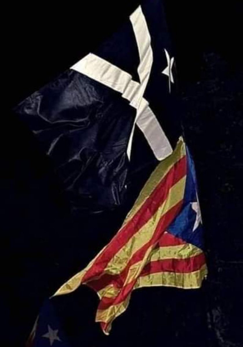 🔴🔴🔴
Hi anem seriosament.

Sabem que la situació és crítica, anem cap a un declivi cultural, econòmic, social, lingüístic, en definitiva, al col·lapse: no podem entretenir-nos més en la gestió de l’autonomia, ni en els pactes amb els parits espanyols que ens volen destruir.