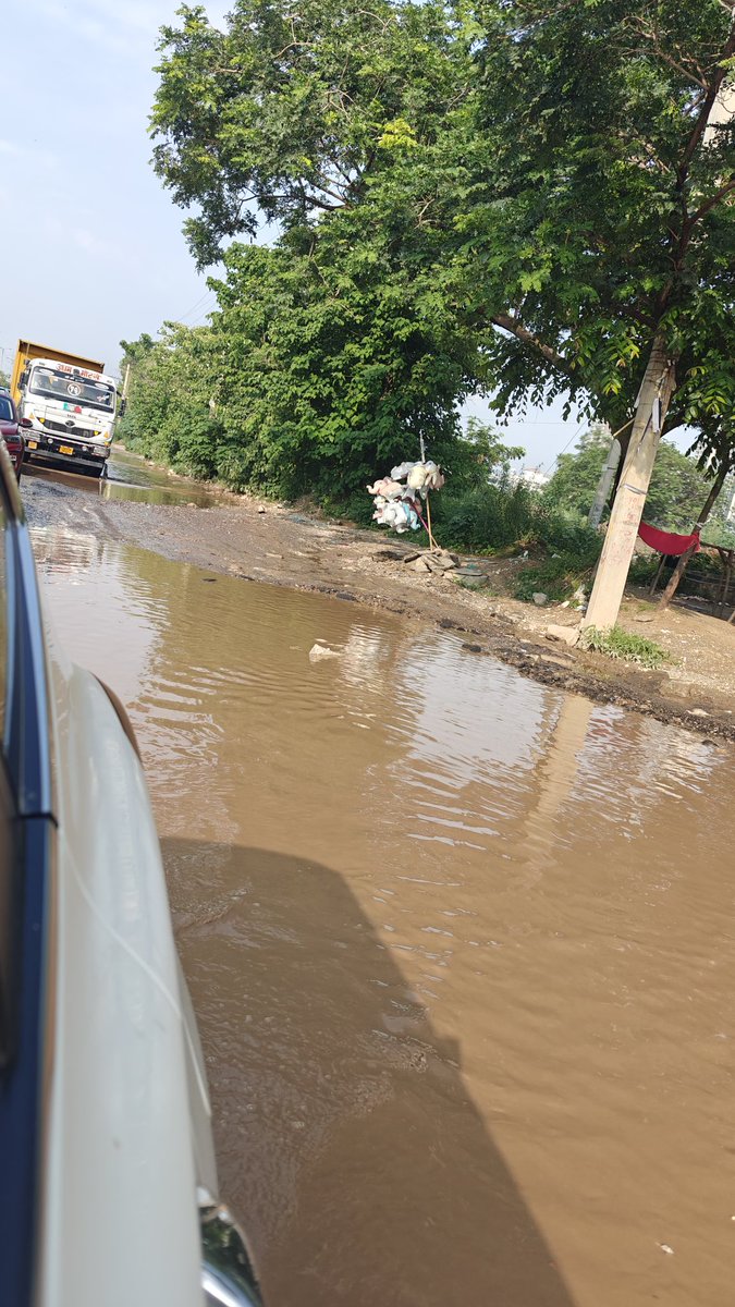 Schephalica tweet media