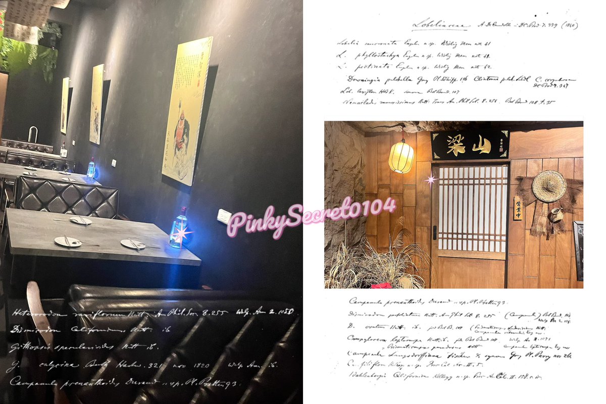 週五，第一次去 #梁山餐酒館，已經聽兩個朋友推薦，都還沒前行，這次終於有空了，陪陪最近工作壓力大的朋友散散心聊天紓壓。
炒水蓮偏清淡，店內招牌牛排炒飯真的無敵好吃！炒飯香讓人印象深刻，牛排肉軟嫩恰到好處❤️
明太子白醬烏龍麵味道超濃香，但是會有五味粉的微辣喔，聽說很多客人超愛醬汁。
-