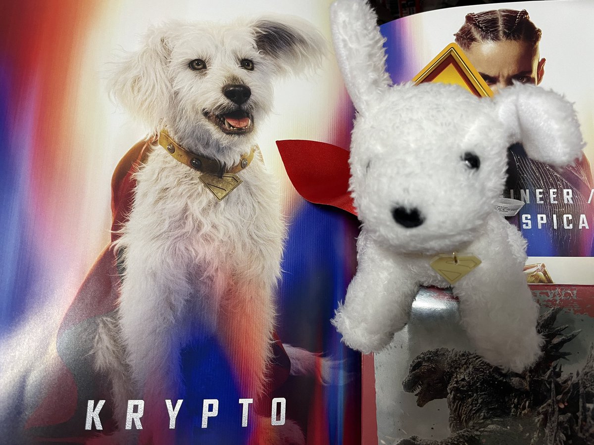 wowALFwow's tweet photo. #スーパーマン
映画・スーパーマンを見たよ！
映画でスーパーマン見たの初めて！犬の相棒がいるの、初めて知ったよ！

映画の中身を全く知らずに、さぞかし頼りになる相棒��んだろうと思って観てたら、想像の100倍アホだったよ！この犬！

でも犬もかわいくて、映画自体も面白かった！続きが見たいね！ https://t.co/AS3aYrvIzz