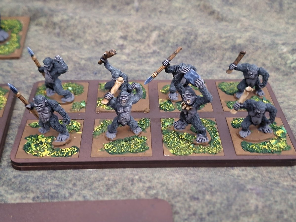 Here is an army for #midgard led by Zar-tan the beastmaster models are mostly from <a href="/LucidEyePublish/">LucidEyePublications</a> and <a href="/reapermini/">Reaper Miniatures</a>