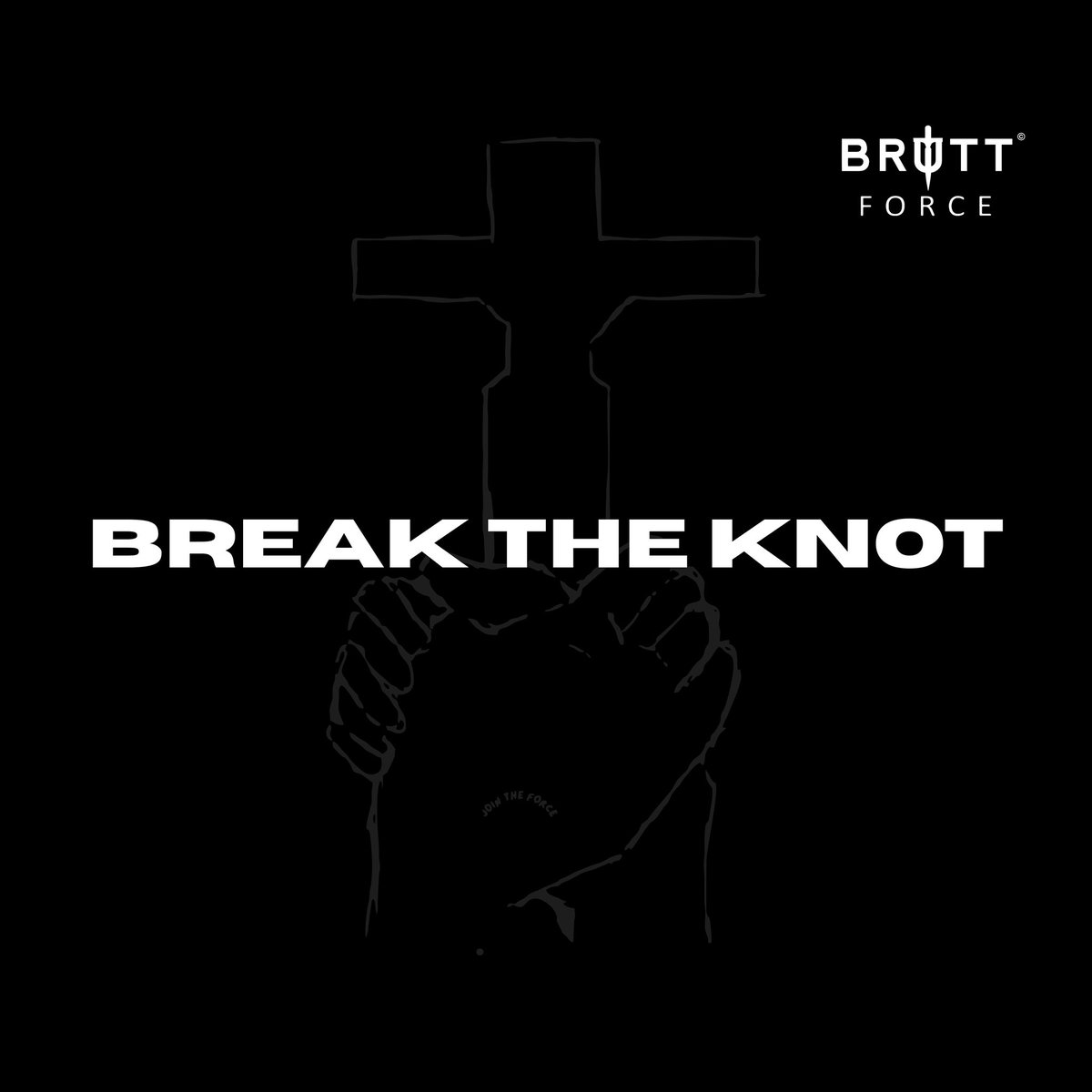 BRUTT FORCE tweet media