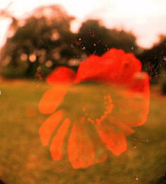 Ιntention of a different day,,,
#sundayvibes #PhotographyIsLife