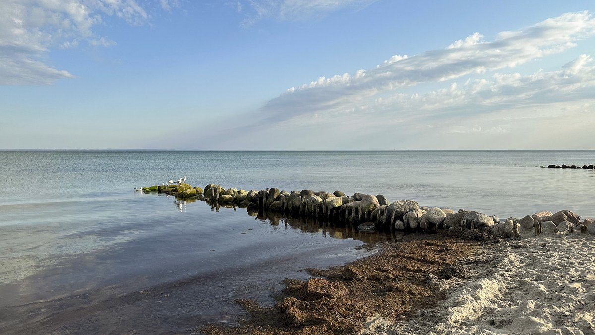 kho_nrw's tweet image. Die Ruhe kommt nicht,
wenn alles geklärt ist.

Sie kommt,
wenn du aufhörst, 
es zu erzwingen.

Es gibt nichts 
zu beweisen.

Du darfst 
einfach da sein…💚