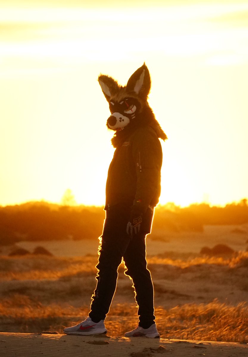 Zeph_rotting's tweet image. New horizons