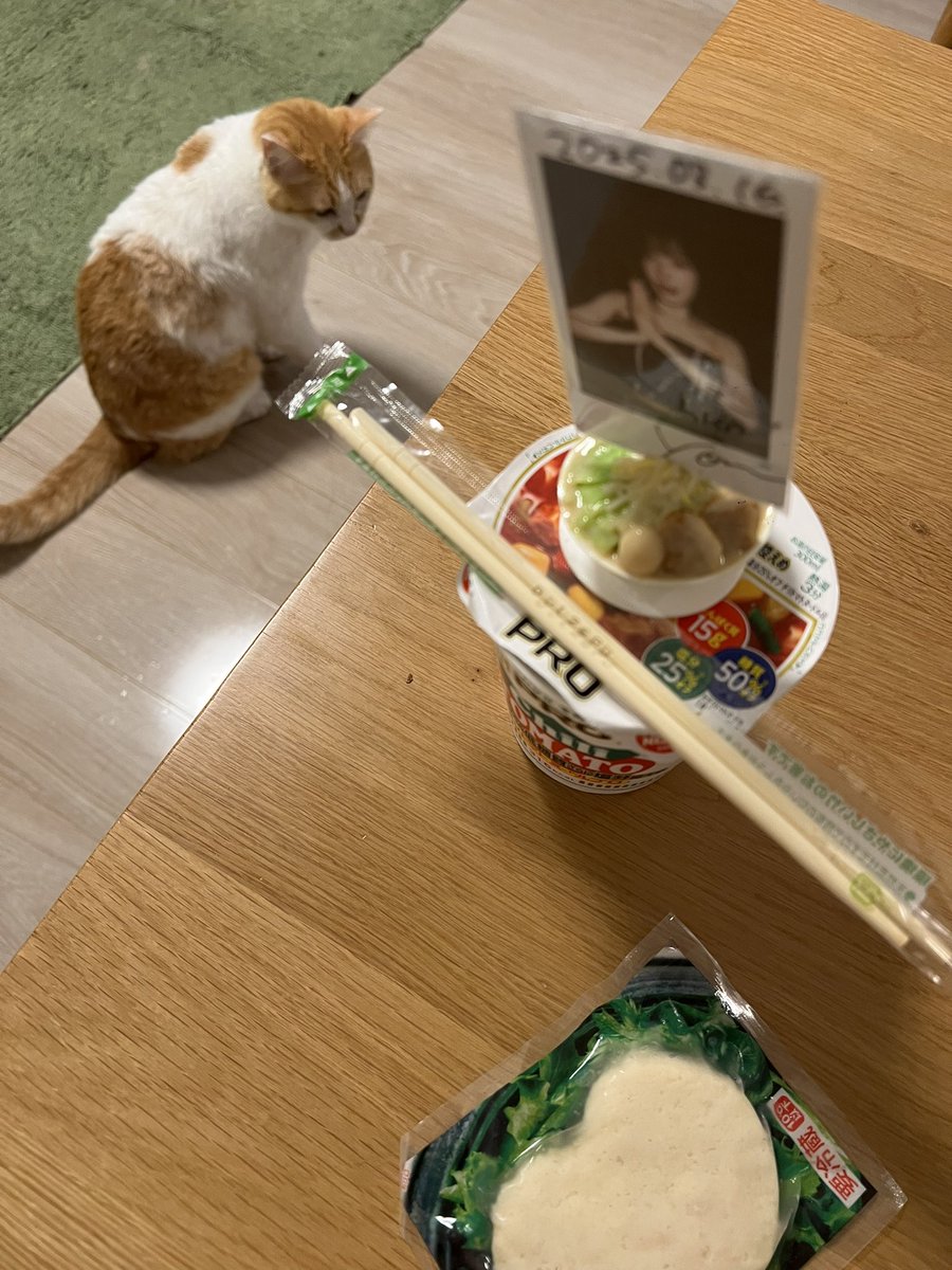 ❤︎ネコ好きかよちゃんページ❤︎ 猫大好き - Search / X