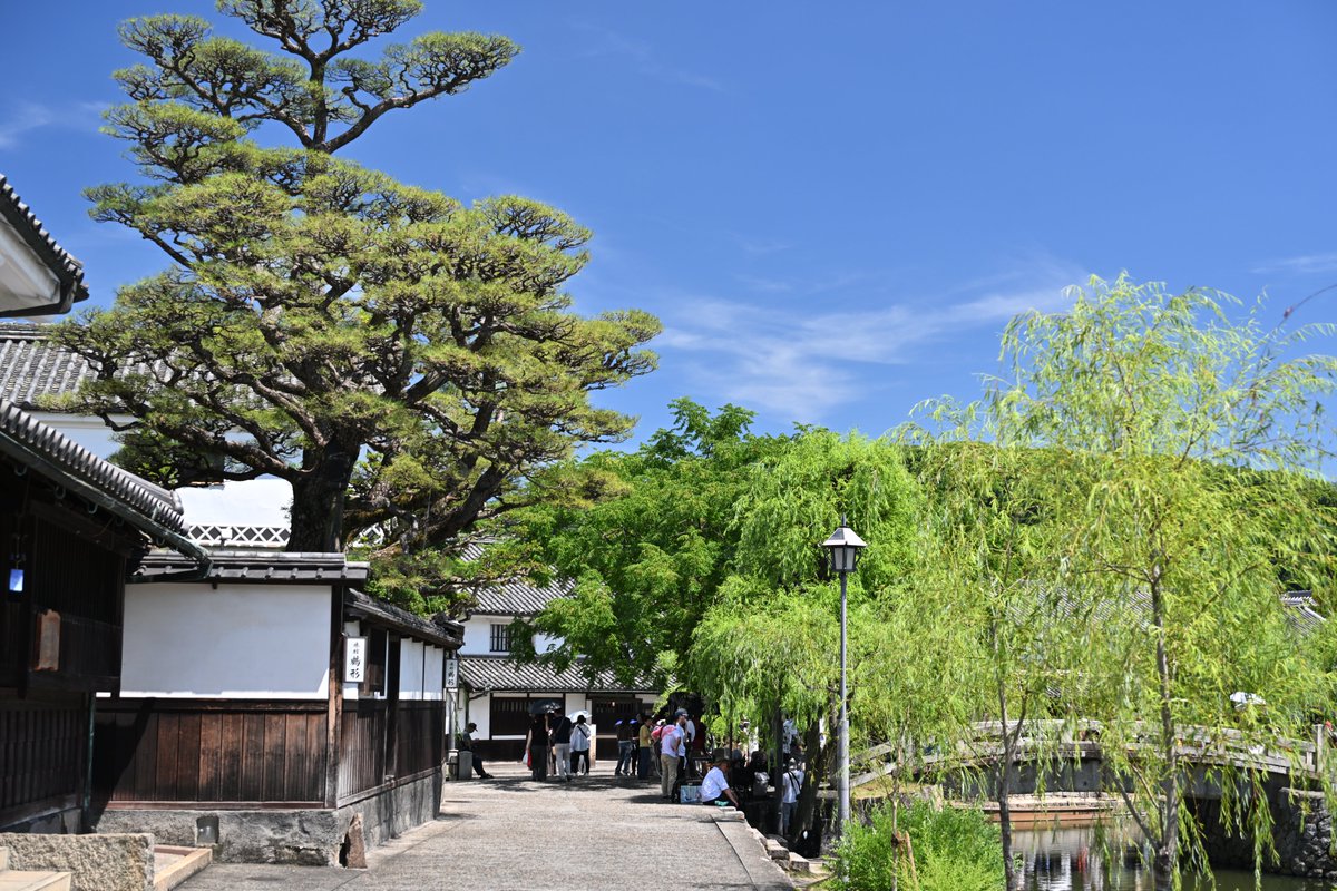 kodera16's tweet image. #倉敷美観地区
今日の美観地区お写ん歩、7体のドールちゃん
白鳥一家は食事中