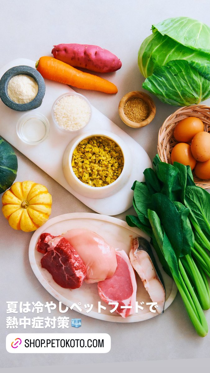 ペトコトフーズは、手作りごはんのような美味しさのまま急速冷凍でお届け🧊
暑い夏は半解凍のまま愛犬にあげると、水分も補給でき、体の中から冷やすことができるので熱中症対策にもおすすめです✨
#冷え活
#フレッシュドッグフード