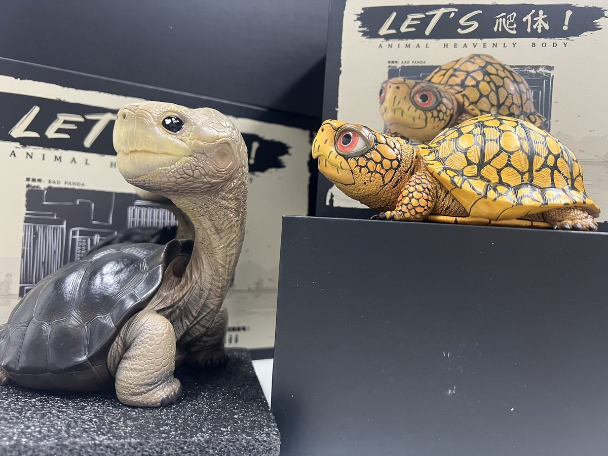 夏ワンフェス 特別販売品　発表
　
③let'sシリーズ　新商品　ハコガメ

ps let'sシリーズはハコガメとロンサム・ジョージを販売します。ワニカメは終了です。

まだまだあります、順次発表します
お楽しみ（╹◡╹）

ブース番号:5-27-05

開催日：7月27日（日）
会場：幕張メッセ 国際展示場