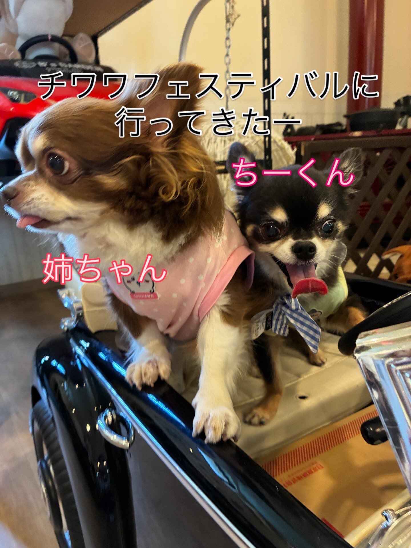 ちーちゃん♡ちーくん☆ ちーくん🦫 (@chippi_053) • Instagram photos and videos