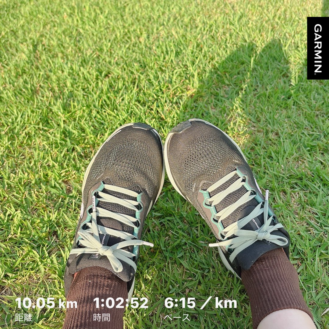 10kmラン👟

珍しく陽のある時間帯、ヘロヘロでしたが、水分補給したり無理せずでなんとか

暑さは辛いけど公園の☘️が綺麗な中をのんびり走れるのは心地良かった〜☀️

名古屋も走ったペガサス、もう反発0な気がするけど足にフィットし過ぎてて捨てられない