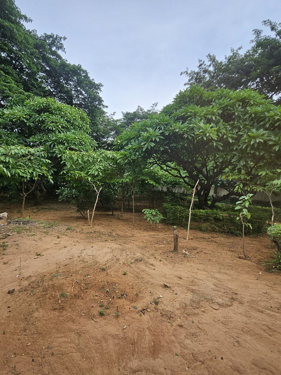 DC Serilingampally GHMC tweet media