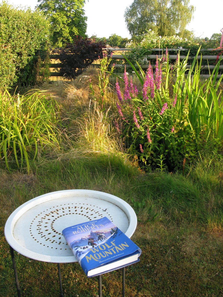 CMoiraM's tweet image. @theAliceRoberts absolutely loved reading your inspirational Wolf Mountain; review here: chrismaloneauthor.com/chris-malone-b…