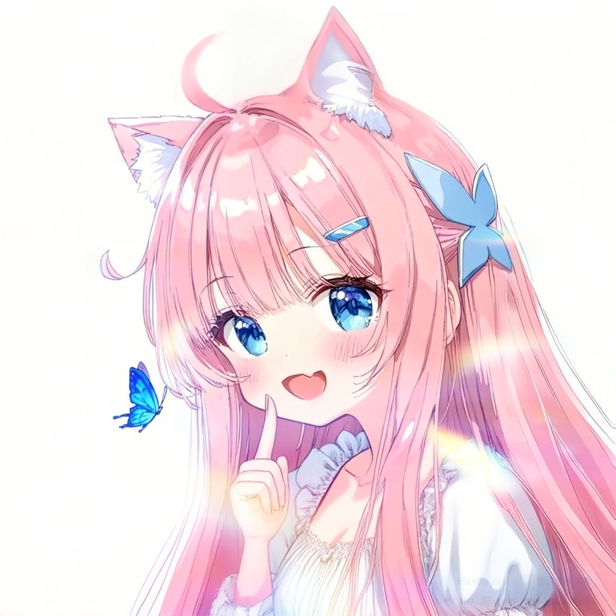 粉猫