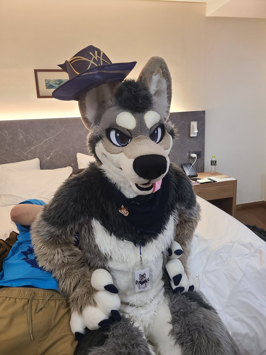 <a href="/MahkunCoyote/">MahkunCoyote🐾FurstClass🇰🇷🐾おきけも🌴</a>